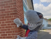 Loan shark in Gloucester