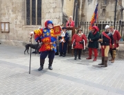 Alan at the medieval parade